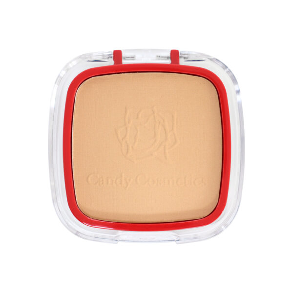 Polvo Compacto Perfect Chic