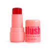 Rubor en Barra Jelly Blush