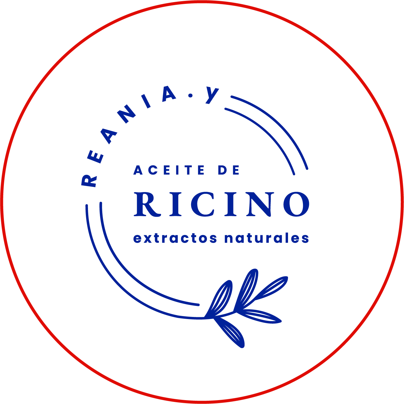 Recurso 03